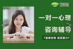 一對一心理咨詢輔導(dǎo)班