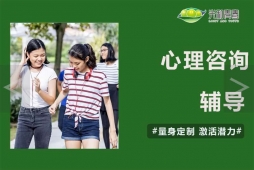 心理咨詢輔導(dǎo)