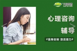 學(xué)生心理咨詢輔導(dǎo)